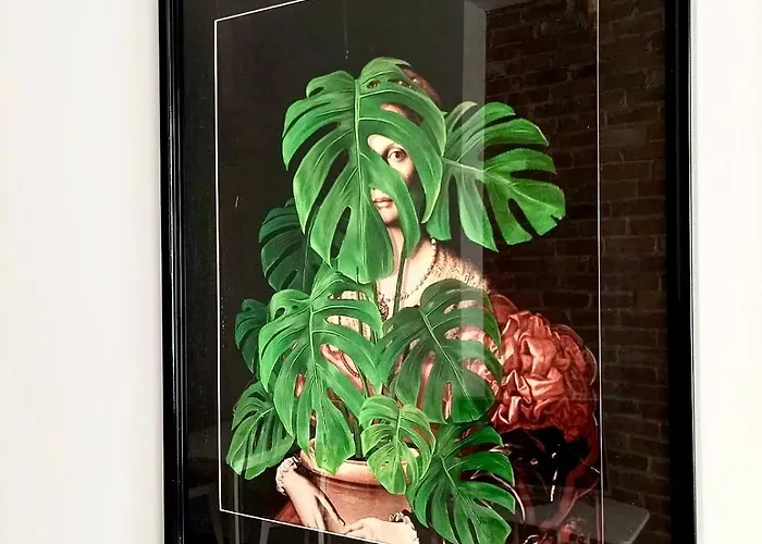 Monstera-32M,Aneks,Sniadanie
