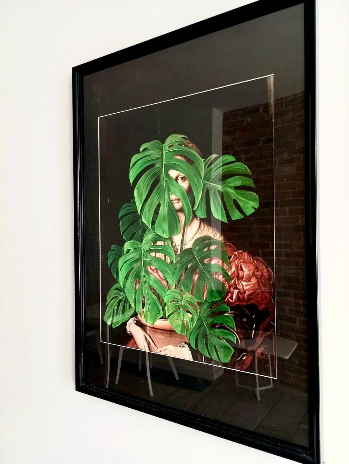 Apartment Monstera-32m,aneks,sniadanie